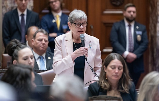 Minnesota Senator Ann Rest Calls for ICE Withdrawal After Fatal Incident, Backs Bill to Ban Law Enforcement Masks