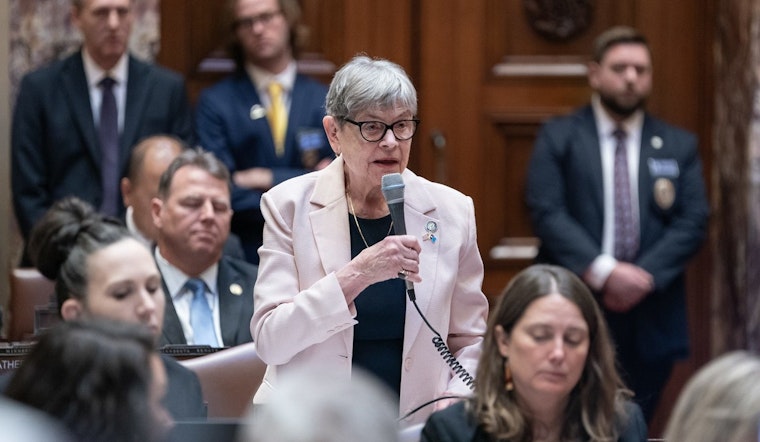 Minnesota Senator Ann Rest Calls for ICE Withdrawal After Fatal Incident, Backs Bill to Ban Law Enforcement Masks
