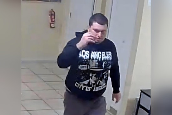 Missing Pinellas County Man Jamie Kinsey Found Safe After Communal Search Effort