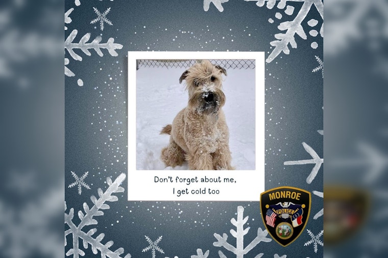 Monroe Police Urge Residents to Shelter Pets Amid Impending Winter Chill