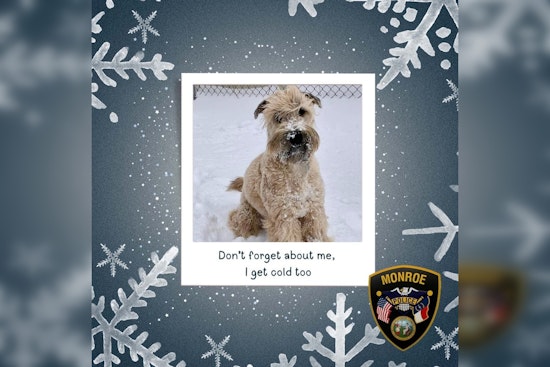 Monroe Police Urge Residents to Shelter Pets Amid Impending Winter Chill