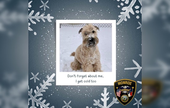 Monroe Police Urge Residents to Shelter Pets Amid Impending Winter Chill