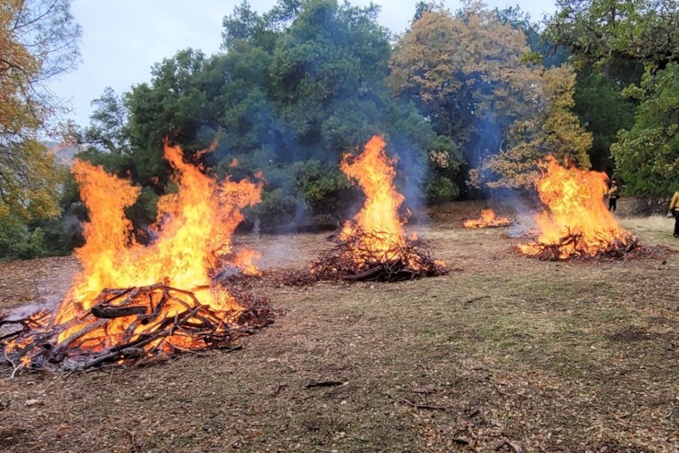 Mount Diablo State Park Announces Prescribed Burns to Reduce Wildfire Risk and Protect Ecosystem