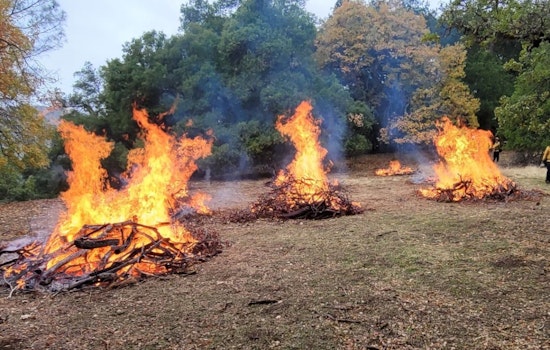 Mount Diablo State Park Announces Prescribed Burns to Reduce Wildfire Risk and Protect Ecosystem