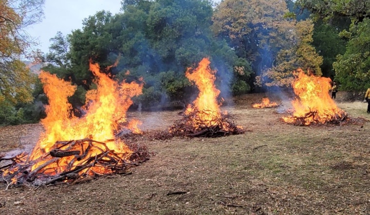 Mount Diablo State Park Announces Prescribed Burns to Reduce Wildfire Risk and Protect Ecosystem