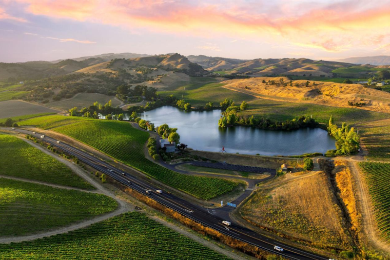 Napa Valley's di Rosa Center for Contemporary Art Lists Estate for $10.9 Million Amid Financial Challenges