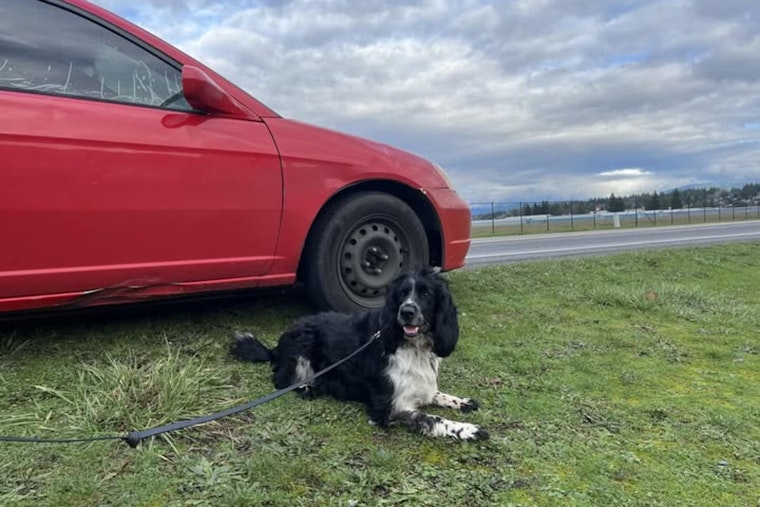 Narcotics K-9 Huuk Lends a Paw in Marysville Drug Bust, Aiding in the Arrest of Three Suspects with Outstanding Warrants