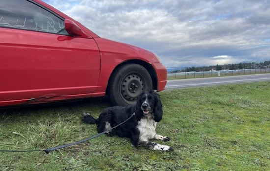 Narcotics K-9 Huuk Lends a Paw in Marysville Drug Bust, Aiding in the Arrest of Three Suspects with Outstanding Warrants