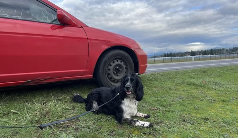 Narcotics K-9 Huuk Lends a Paw in Marysville Drug Bust, Aiding in the Arrest of Three Suspects with Outstanding Warrants