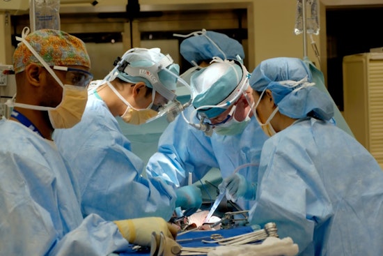 Nassau County Teenager Faced with Rare Condition Seeks Life-Saving Kidney Transplant