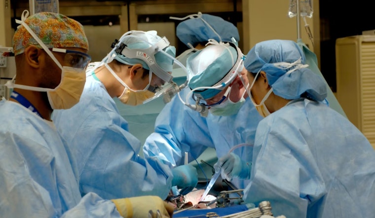 Nassau County Teenager Faced with Rare Condition Seeks Life-Saving Kidney Transplant