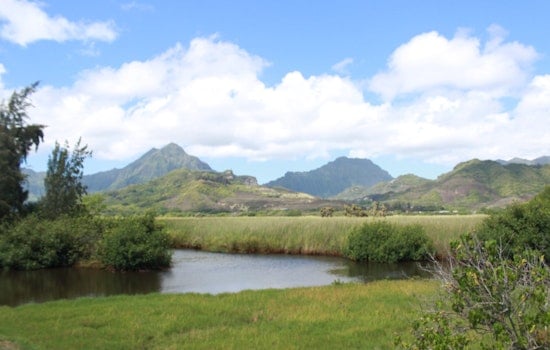 Neighbors Snatch Kawainui Makai Estuary From Developers' Grip