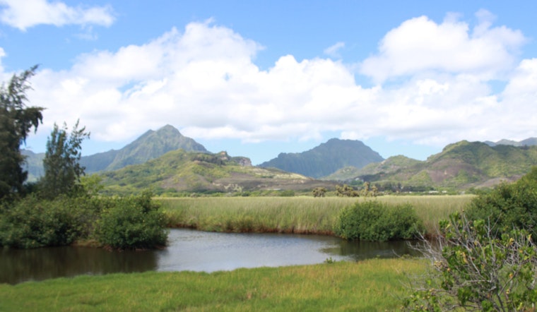 Neighbors Snatch Kawainui Makai Estuary From Developers' Grip