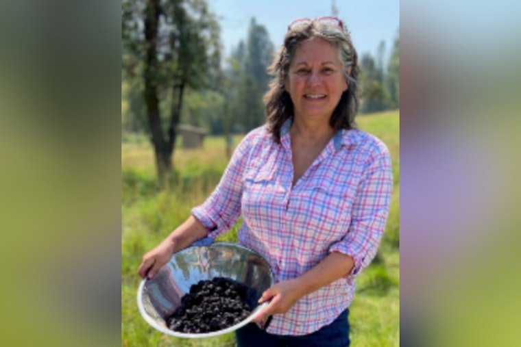 Nevada County Hails 2025 "Year of Youth," Free Transport and Infrastructure Advances Celebrated