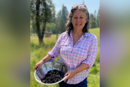 Nevada County Hails 2025 "Year of Youth," Free Transport and Infrastructure Advances Celebrated