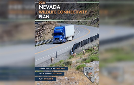 Nevada Dept. of Wildlife Launches Statewide Plan to Enhance Wildlife Connectivity and Ecosystem Protection