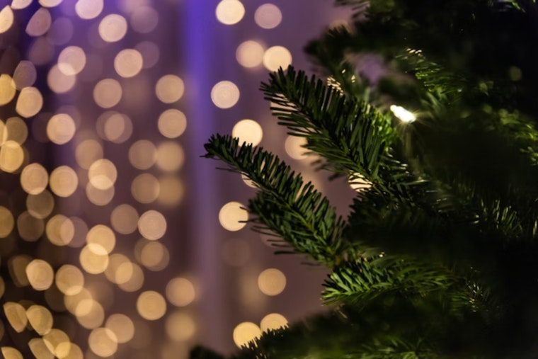 New Berlin Announces Christmas Tree Pickup Schedule to Maintain Post-Holiday Cleanliness