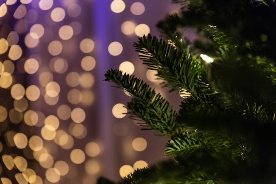 New Berlin Announces Christmas Tree Pickup Schedule to Maintain Post-Holiday Cleanliness