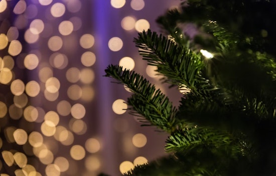 New Berlin Announces Christmas Tree Pickup Schedule to Maintain Post-Holiday Cleanliness