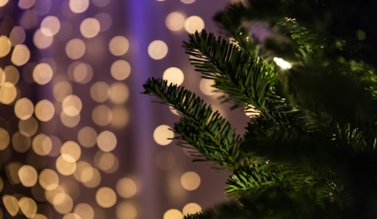New Berlin Announces Christmas Tree Pickup Schedule to Maintain Post-Holiday Cleanliness