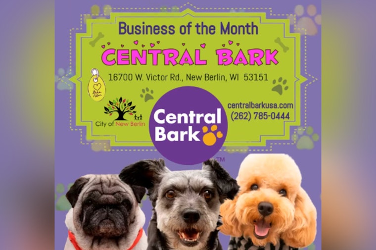 New Berlin's Central Bark Honored as January's Business of the Month for Exceptional Doggy Daycare Services