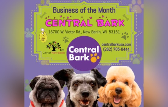New Berlin's Central Bark Honored as January's Business of the Month for Exceptional Doggy Daycare Services