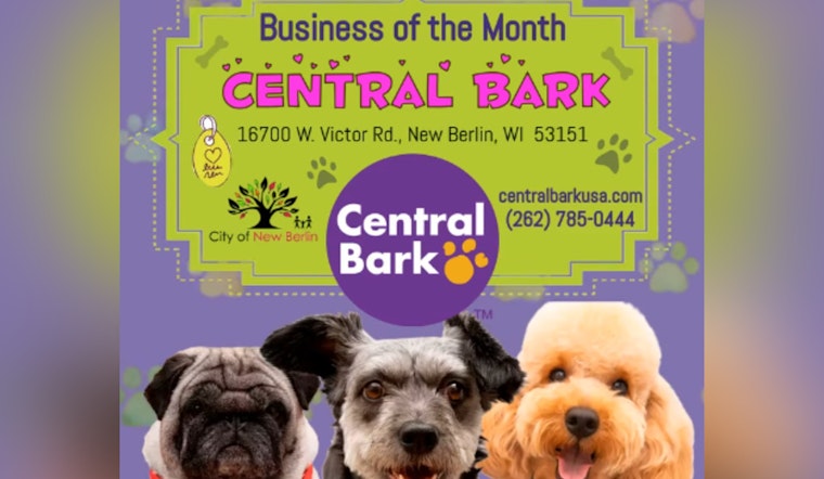 New Berlin's Central Bark Honored as January's Business of the Month for Exceptional Doggy Daycare Services