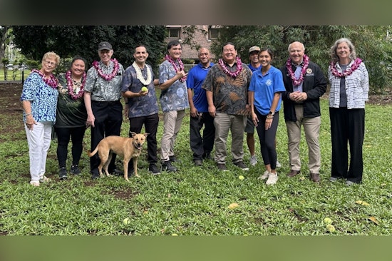 New Off-Leash Dog Park Opens in Punahou Square, Honolulu, Delighting Makiki Dog Owners