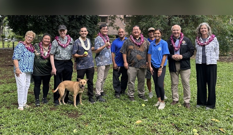 New Off-Leash Dog Park Opens in Punahou Square, Honolulu, Delighting Makiki Dog Owners