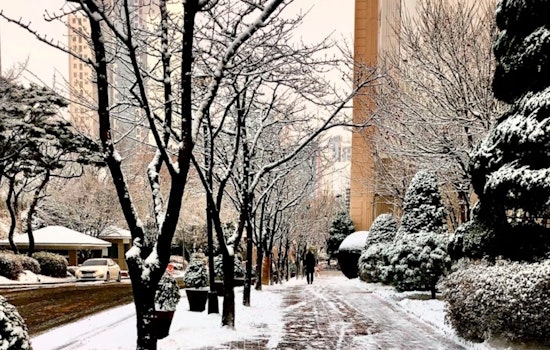 New Orleans Braces for Extreme Cold and Wind as Advisories Are Issued for Southeast Louisiana and Southern Mississippi