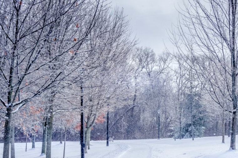New Orleans on Alert as Extreme Cold Watch and Freeze Warning Issued While Temperatures Plunge