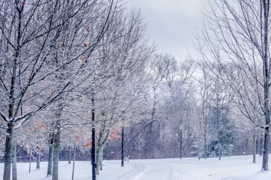 New Orleans on Alert as Extreme Cold Watch and Freeze Warning Issued While Temperatures Plunge