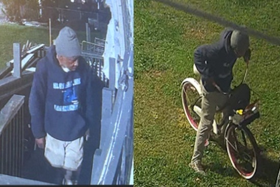 New Orleans Police Seek Public's Aid in Identifying Suspect in Dumaine Street Burglary