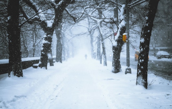 New York City Confronts Rising Death Toll Amid Cold Snap as Mayor Mamdani’s Approach Faces Scrutiny