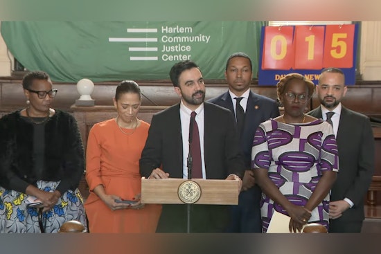 New York City Mayor Mamdani Appoints Afua Atta-Mensah as Chief Equity Officer to Advance Racial Justice