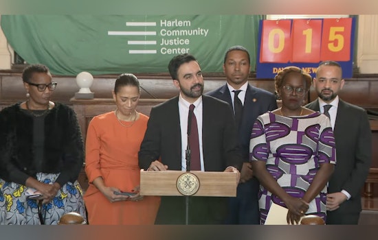 New York City Mayor Mamdani Appoints Afua Atta-Mensah as Chief Equity Officer to Advance Racial Justice