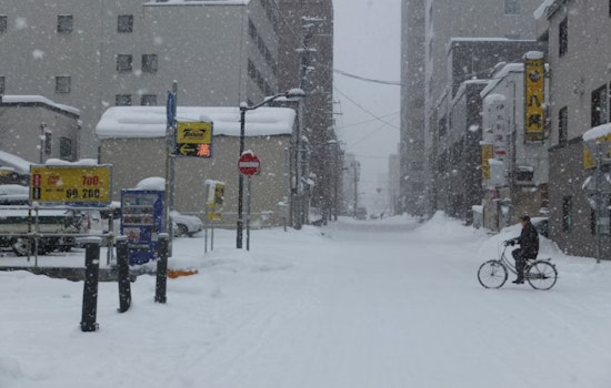 New York State of Emergency Declared Ahead of Severe Snowstorm as Early Voting Suspended in NYC
