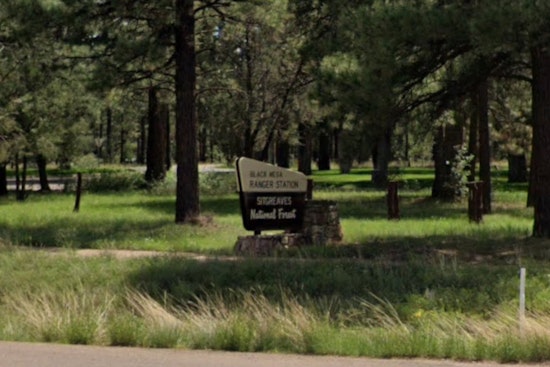 Nine Horses Found Shot Dead In Arizona Forest As Cops Hunt Gunman