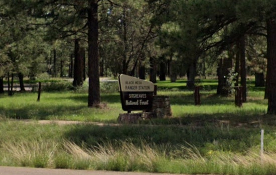 Nine Horses Found Shot Dead In Arizona Forest As Cops Hunt Gunman