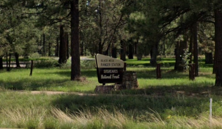 Nine Horses Found Shot Dead In Arizona Forest As Cops Hunt Gunman