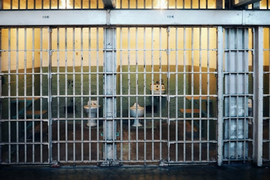 No Bail for Bomb Suspect, D.C. Pipe Bomber Brian Cole to Stay Caged as Judge Cites Public Risk