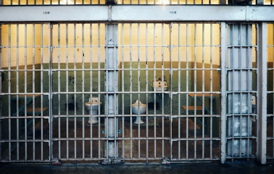 No Bail for Bomb Suspect, D.C. Pipe Bomber Brian Cole to Stay Caged as Judge Cites Public Risk