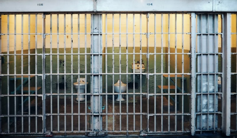 No Bail for Bomb Suspect, D.C. Pipe Bomber Brian Cole to Stay Caged as Judge Cites Public Risk