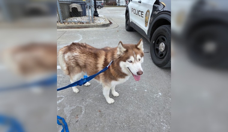Noblesville Police Find and Reunite Escaped Animal with Owners, Embracing Community Humor