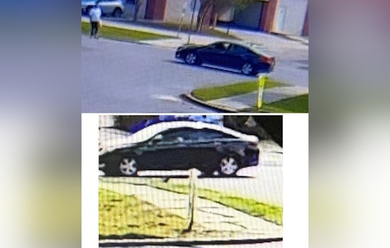 NOPD Seeks Public Help to Locate Suspect in Midday Hit-and-Run on Leon C. Simon Drive