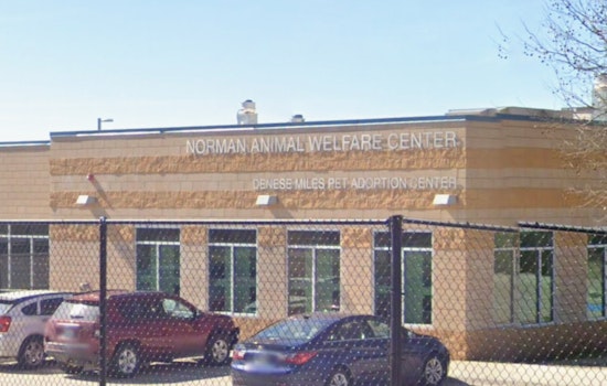 Norman Animal Welfare Committee Opens Nominations for Erica Loftis Volunteer of the Year Award