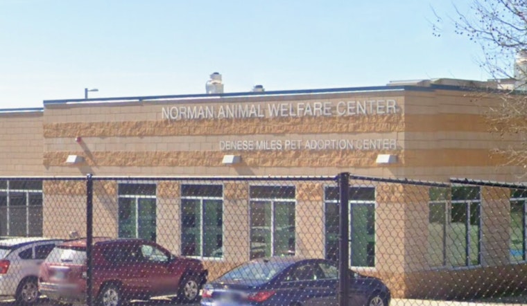 Norman Animal Welfare Committee Opens Nominations for Erica Loftis Volunteer of the Year Award
