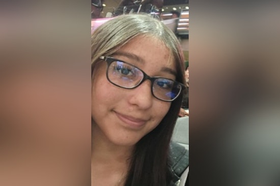 North Side Teen Vanishes After Leaving Magnolia Brook Block