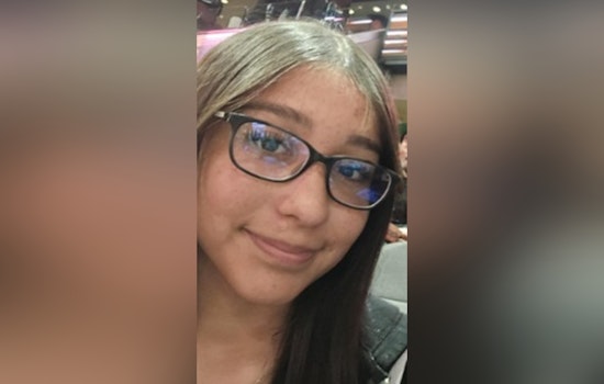 North Side Teen Vanishes After Leaving Magnolia Brook Block