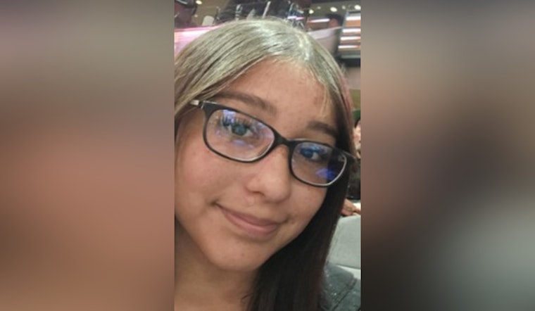 North Side Teen Vanishes After Leaving Magnolia Brook Block